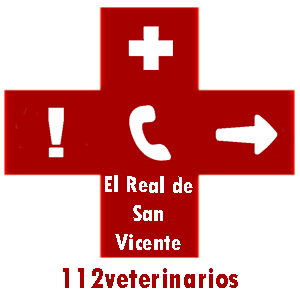 veterinario El Real de San Vicente