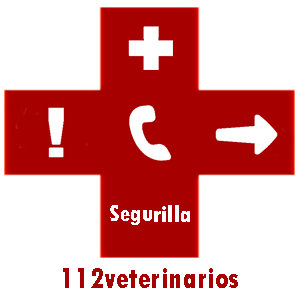 veterinario Segurilla