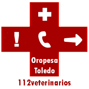 Veterinario oropesa (Toledo)