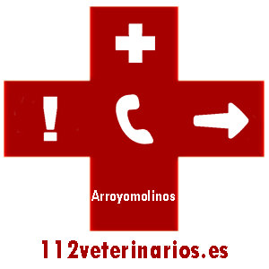 veterinario arroyomolinos