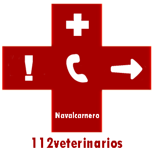 Veterinario Navalcarnero