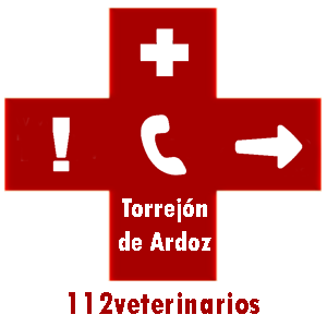 veterinario Torrejón de Ardoz